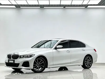 2022 BMW 3 Series 320Li M Sport Package, фото 1, лот 11087284