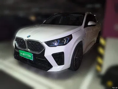 2024 BMW X2 (Import) sDrive25i M Sport Package, фото 1, лот 11197040