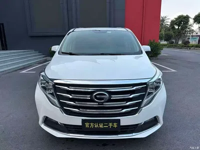 2020 GAC Trumpchi Trumpchi M8 390T Premium, фото 2, лот 10955902