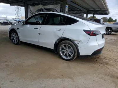 2023 TESLA MODEL Y, фото 2, лот 11578139