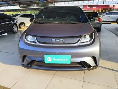 2025 BYD Dolphin 420km Freedom Edition, фото 3, лот 10448560