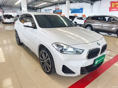 2021 BMW X2 sDrive25i Exclusive M Sport Package, фото 4, лот 10889664