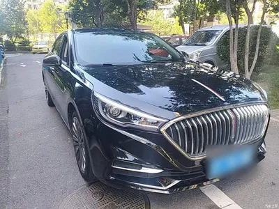 2020 Hongqi H5 1.5T DCT Qi Rhythm Edition, фото 4, лот 10289252