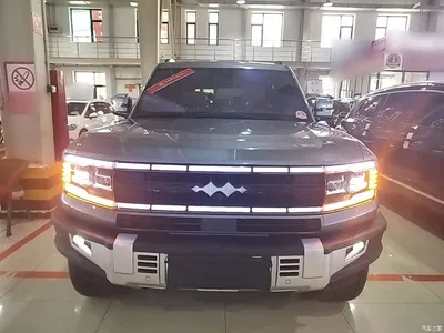 2023 Byd Leopard 5 Explorer Edition, фото 3, лот 10827845