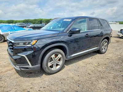 2024 HONDA PILOT EXL, фото 1, лот 10682886