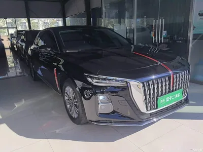 2024 Hongqi H5 1.5T DCT Smart Connect Flag Rhythm Edition, фото 4, лот 11579774