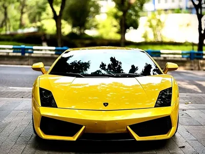 2012 Lamborghini Gallardo LP 560-4 Gold Edition, фото 2, лот 10309716