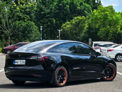 2021 Tesla Model 3 Standard Range Rear-Wheel Drive Upgrade, фото 2, лот 10368776
