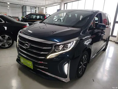2021 GAC Trumpchi Trumpchi M8 Leading Show Series 390T Premium Edition, фото 2, лот 10424008