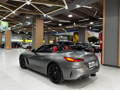 2020 BMW Z4 sDrive 25i Silver Frost Limited Edition, фото 3, лот 10420210