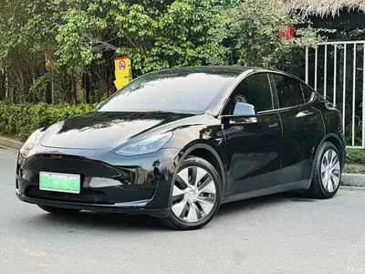 2022 Tesla Model Y Rear-Wheel Drive Version, фото 1, лот 11243716