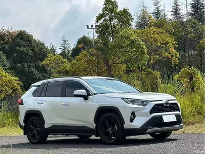 2022 Toyota RAV4 Rongfang Hybrid 2.5L E-CVT 4WD Elite Plus Edition, фото 3, лот 10279940