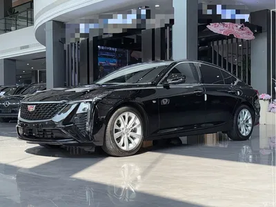 2024 Cadillac CT5 28T Luxury Model Pro, фото 1, лот 10303928