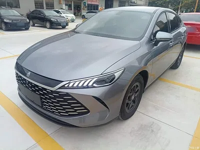2025 BYD Qin PLUS DM-i Smart Drive 55KM Leader, фото 1, лот 10362783