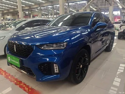 2017 WEY VV7 2.0T Flagship, фото 1, лот 11193192