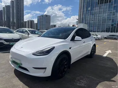 2021 Tesla Model Y Model Long Range AWD, фото 1, лот 10886875
