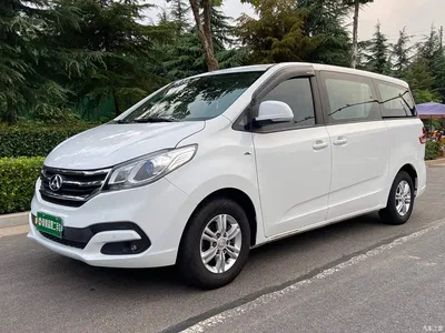 2016 SAIC Maxus Maxus G10 2.0T Automatic Luxury Edition, фото 1, лот 11162307