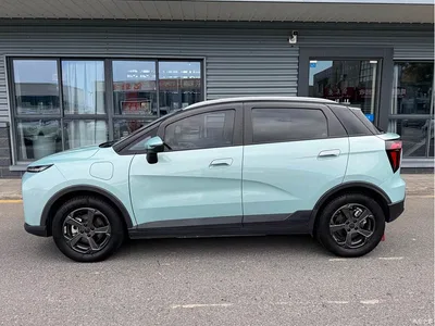 2022 Geely E Firefly 401KM Delicate Tiger 4-seater, фото 3, лот 11166431