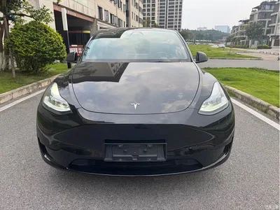 2024 Tesla Model Y Rear-Wheel Drive Version, фото 2, лот 10481875