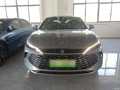 2025 BYD Qin L DM-i Smart Drive 80KM Premium, фото 3, лот 10259458