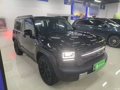 2026 Haval Meng Long NEV Hi4 102 Premium, фото 4, лот 11215500