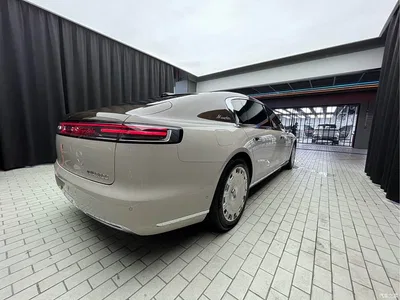 2025 Zunjie S800 Model Extended Range Starlight Executive Edition 4-seater, фото 3, лот 10930993