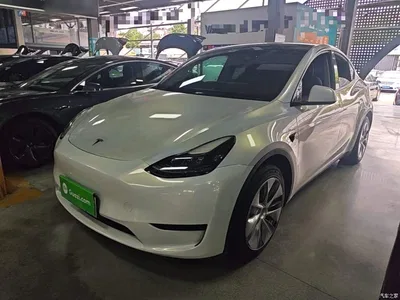 2022 Tesla Model Y Rear-Wheel Drive Version, фото 2, лот 10369683