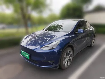 2021 Tesla Model Y Model Long Range AWD, фото 2, лот 10370814