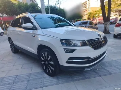 2019 Škoda Karoq TSI280 Smart Drive Luxury Edition China V, фото 4, лот 10348244