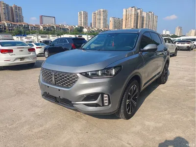 2020 WEY VV6 2.0T 2WD Smart Protection+, фото 3, лот 10452154