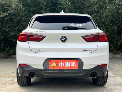 2023 BMW X2 sDrive25i M Sport Shadow Edition, фото 4, лот 10475459