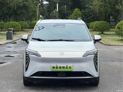2025 Aion Y Plus 510 Enjoyment Edition, фото 3, лот 10240040