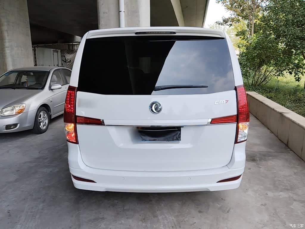 2021 Forthing Lingzhi PLUS 2.0L Manual Luxury 7-Seater, фото 4, лот 10415938