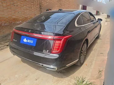 2020 Hongqi H9 3.0T Smart Connection Qi Chang Edition, фото 3, лот 10448504