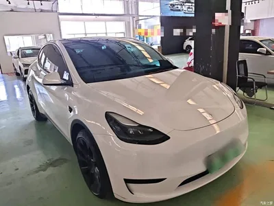2022 Tesla Model Y Rear-Wheel Drive Version, фото 4, лот 11568003