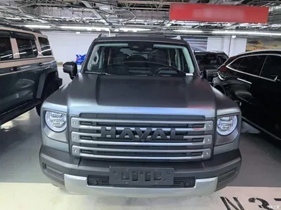 2024 Haval Meng Long NEV Hi4 145 Cross-country Edition, фото 3, лот 10304847