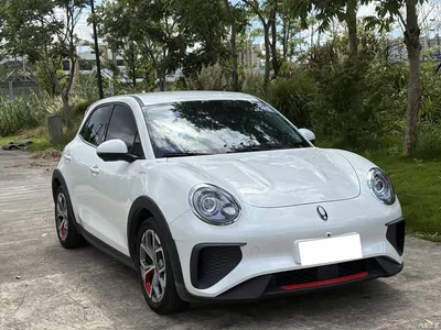 2024 Ora Good Cat GT Mulan Edition 401km Luxury, фото 3, лот 10836513
