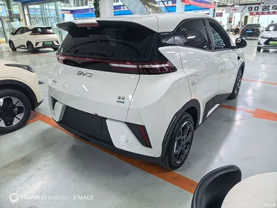 2025 BYD Seagull Smart Drive Edition 305km Freedom Version, фото 4, лот 10257412
