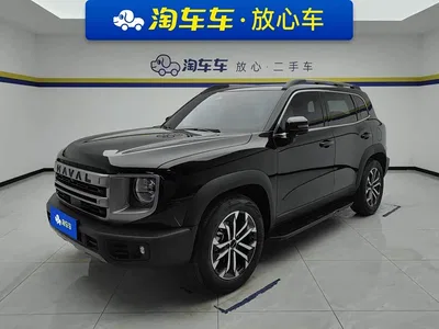 2024 Haval Big Dog 1.5T DCT Border Collie Edition, фото 1, лот 10690129