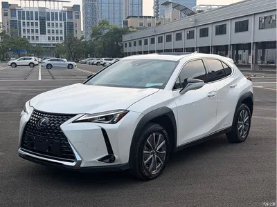 2020 Lexus UX Electric 300e Pure Yue Edition, фото 1, лот 10621637
