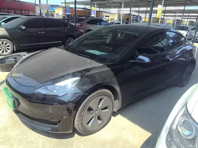 2022 Tesla Model 3 Model Rear-Wheel Drive Version, фото 2, лот 10389676