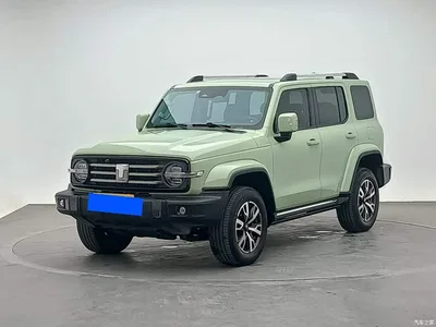 2021 Tank 300 Urban Edition 2.0T Stylish, фото 1, лот 11216797