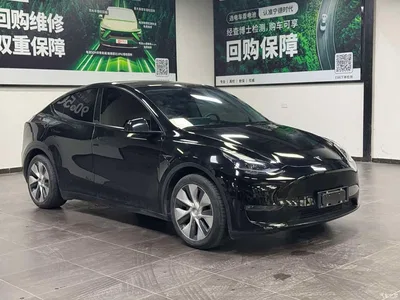 2021 Tesla Model Y Model Long Range AWD, фото 3, лот 11141612