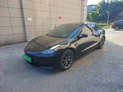 2022 Tesla Model 3 Model Rear-Wheel Drive Version, фото 1, лот 10369273