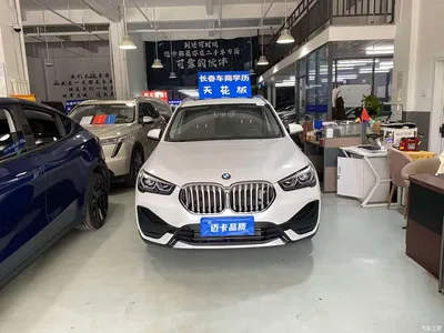 2020 BMW X1 sDrive20Li Fashion Model, фото 2, лот 10423501