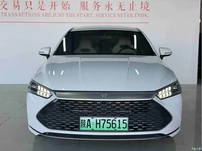 2024 BYD Qin PLUS Glory Edition DM-i 55KM Leading, фото 2, лот 10363696