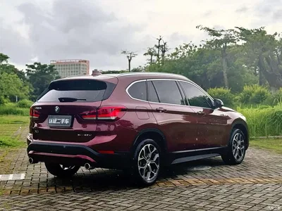 2021 BMW X1 sDrive25Li Leading, фото 3, лот 10577993
