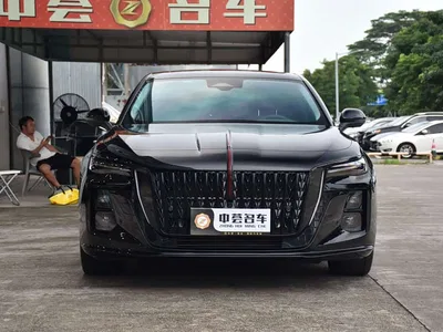 2025 Hongqi H5 2.0T Automatic Mystic Shadow, фото 2, лот 10450934