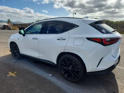 2022 LEXUS NX 350, фото 2, лот 10667034