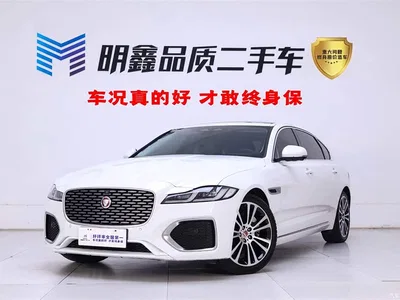 2024 Jaguar XFL 2.0T P250 2WD Premium Luxury, фото 1, лот 10360922